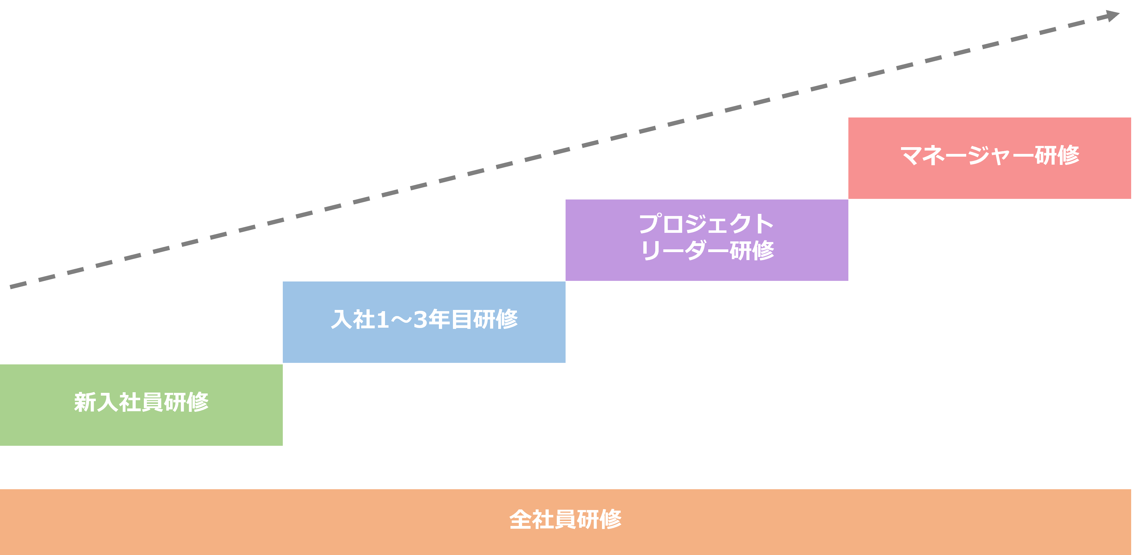 階層別研修のイメージ